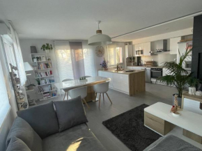 Appart cosy 4 à 6 pers - parking privé - 5 min Colmar - 2 terrasses